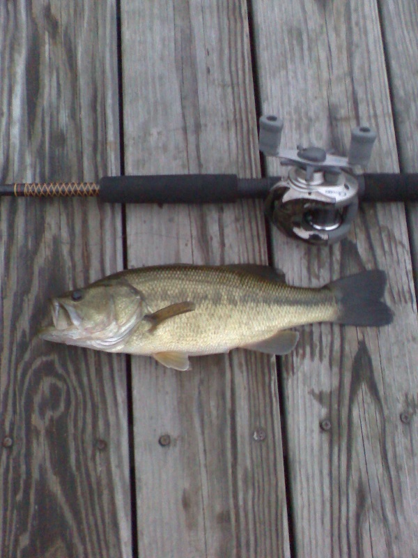 10-24-07 - Lake Cochtituate - LM Bass 13in 1lb